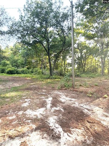 123 Mack Edisto Road, Swansea, SC 29160