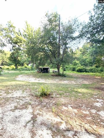 123 Mack Edisto Road, Swansea, SC 29160