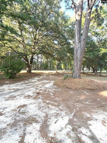 123 Mack Edisto Road, Swansea, SC 29160