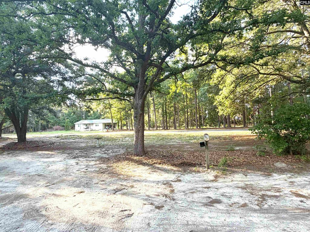 123 Mack Edisto Road, Swansea, SC 29160