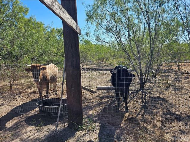 4800 W Monte Cristo Road, Edinburg, TX 78541