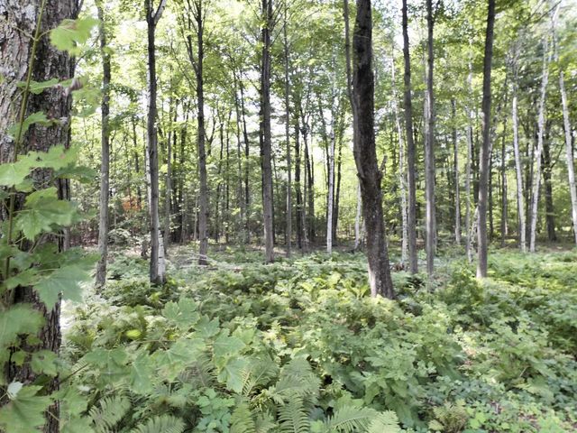 4347 SANDY LANE, Suamico, WI 54173