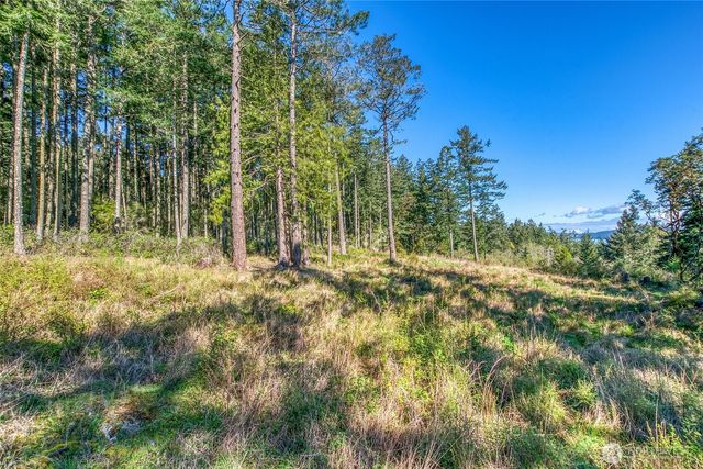 27 Bramblewood Lane, Friday Harbor, WA 98250