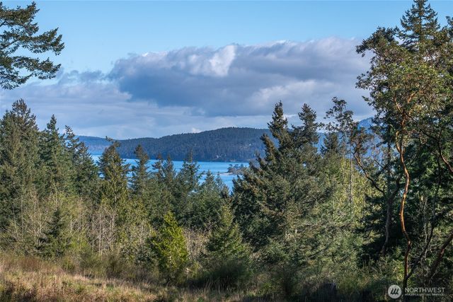 27 Bramblewood Lane, Friday Harbor, WA 98250