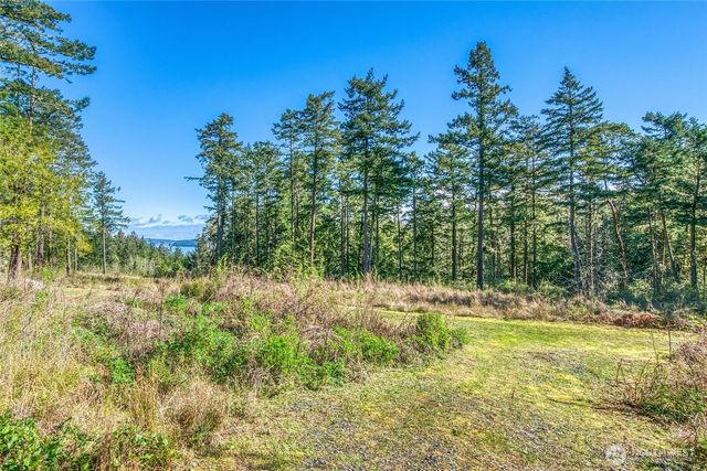27 Bramblewood Lane, Friday Harbor, WA 98250