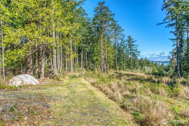 27 Bramblewood Lane, Friday Harbor, WA 98250