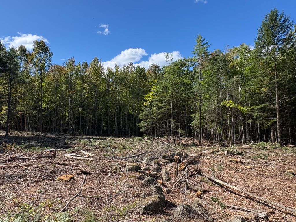 0 Edes Falls Road, Harrison, ME 04040 — photo 2