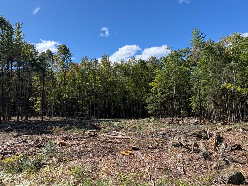 0 Edes Falls Road, Harrison, ME 04040 — photo 3