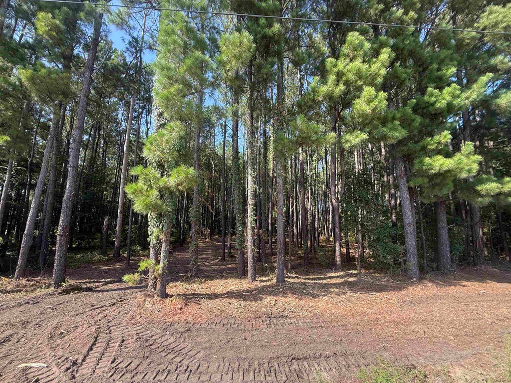 TBD Pasture Rd., Aynor, SC 29511 — photo 2