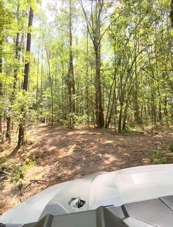 TBD Pasture Rd., Aynor, SC 29511 — photo 3