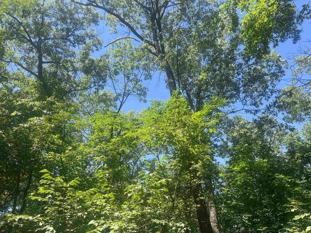 Lot 1 Montrose Road, Belleville, WI 53508