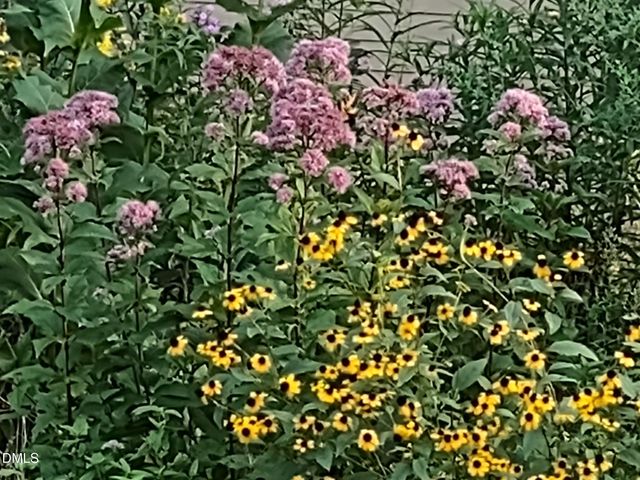 4013 Saint Edmunds Lane, Apex, NC 27539