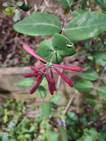 4013 Saint Edmunds Lane, Apex, NC 27539