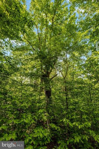 105 INTERPROMONTORY RD, Great Falls, VA 22066