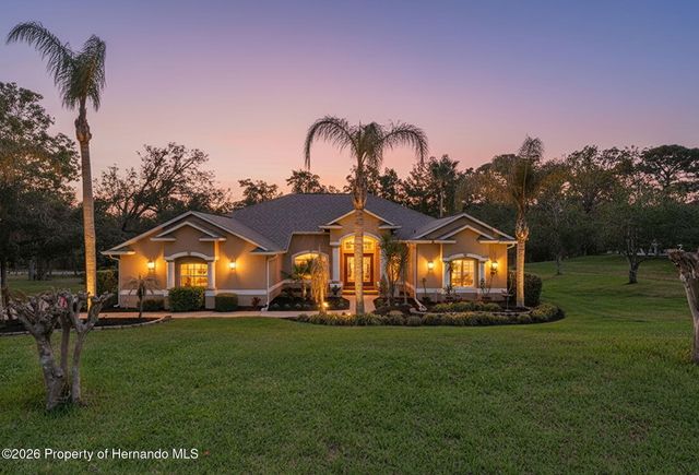 10288 Ridge Top Loop, Weeki Wachee, FL 34613