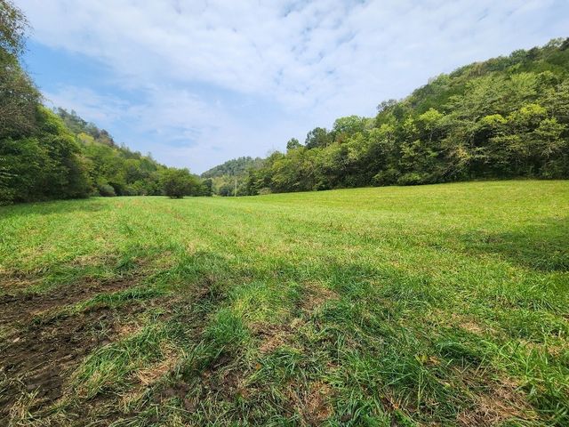 0 Webster Branch Ln, Whitleyville, TN 38588