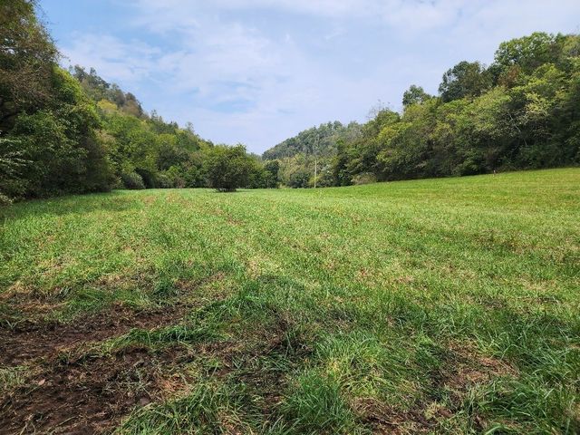 0 Webster Branch Ln, Whitleyville, TN 38588