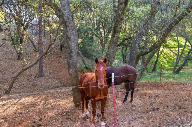 18835 Hilltop Rd, Penn Valley, CA 95946