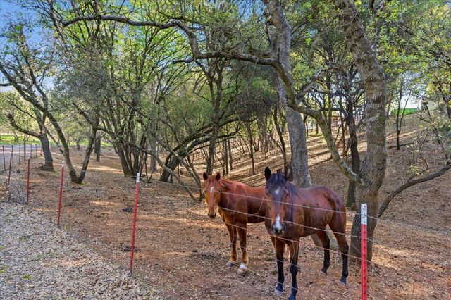 18835 Hilltop Rd, Penn Valley, CA 95946