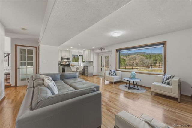 437 Mcshane Place, Monument, CO 80132