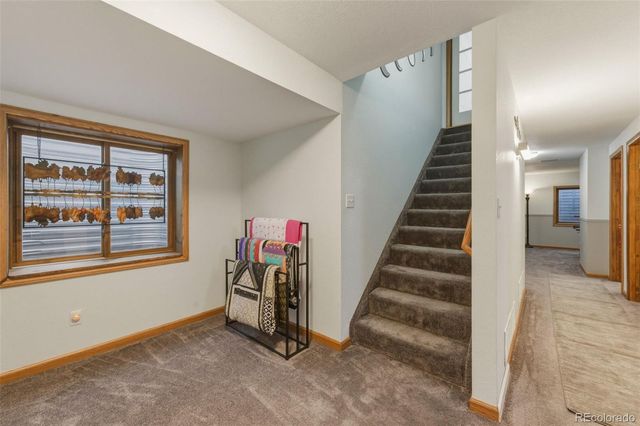 437 Mcshane Place, Monument, CO 80132