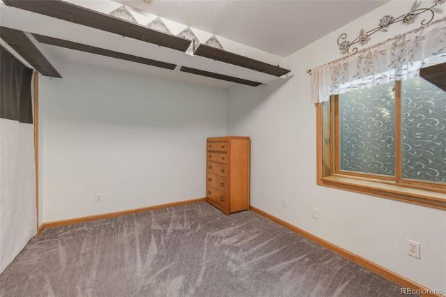 437 Mcshane Place, Monument, CO 80132