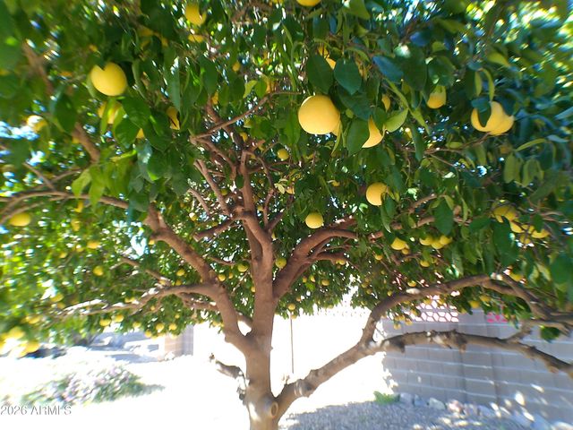 234 W MORRIS Drive, Queen Valley, AZ 85118