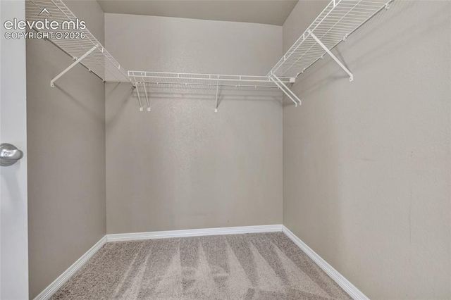 17906 Blue Opal Court, Monument, CO 80132
