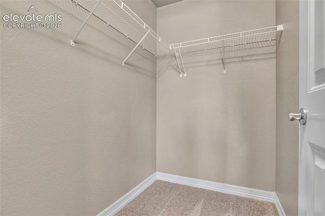 17906 Blue Opal Court, Monument, CO 80132