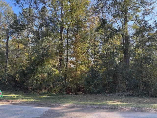 TBD Hunters Trail, New Caney, TX 77357