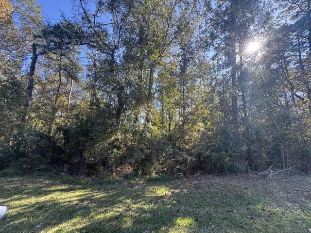 TBD Hunters Trail, New Caney, TX 77357