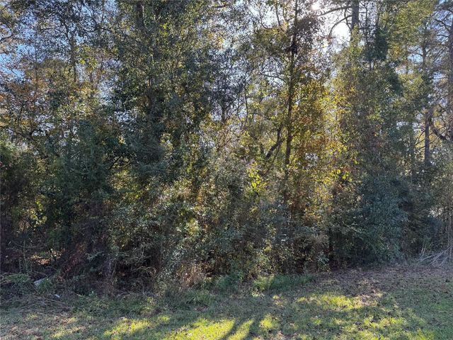 TBD Hunters Trail, New Caney, TX 77357