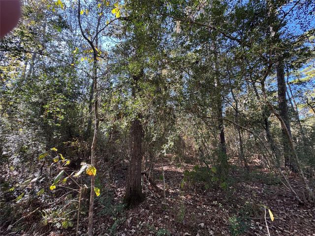 TBD Hunters Trail, New Caney, TX 77357