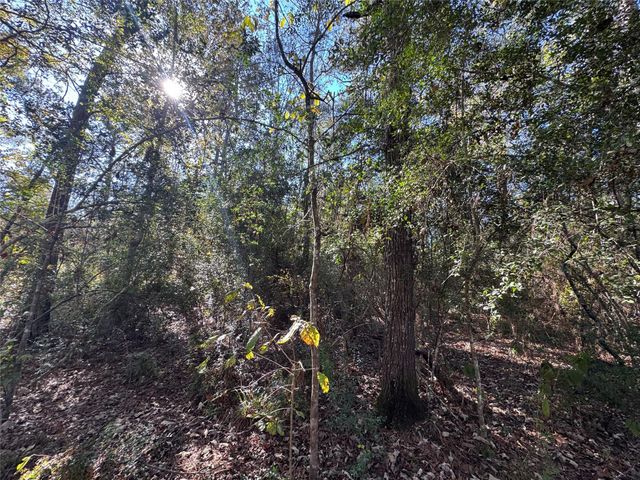 TBD Hunters Trail, New Caney, TX 77357