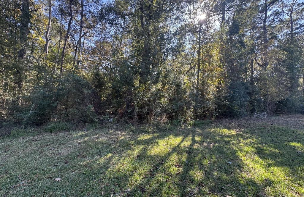 TBD Hunters Trail, New Caney, TX 77357