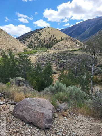 451 Peterson Creek Road, Leadore, ID 83464