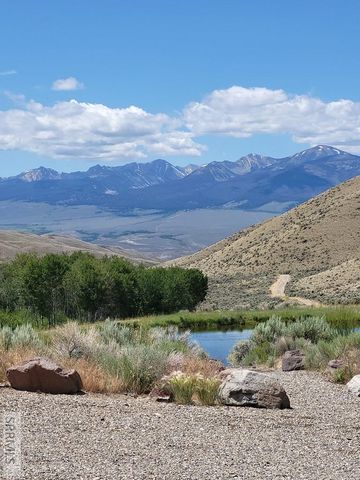 451 Peterson Creek Road, Leadore, ID 83464