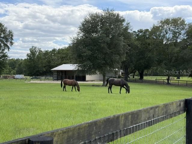 559 SW 15TH COURT, Bell, FL 32619