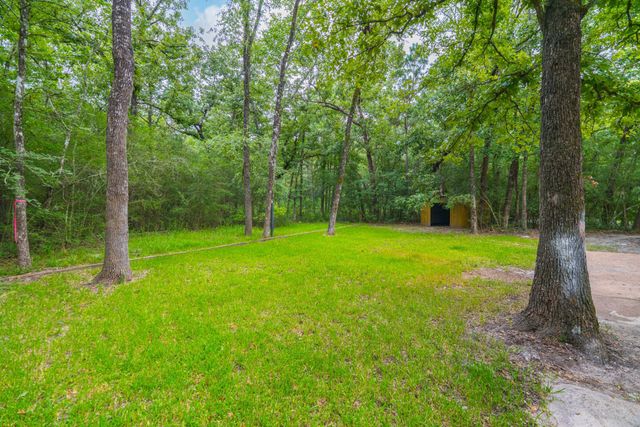 26701 Knottywood Court, Huntsville, TX 77320