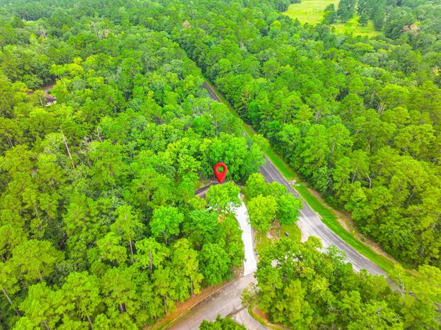 26701 Knottywood Court, Huntsville, TX 77320