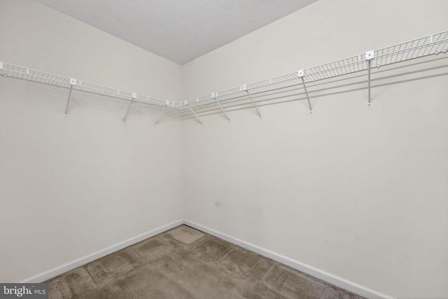 236 BENTLEY AVE, Winchester, VA 22602