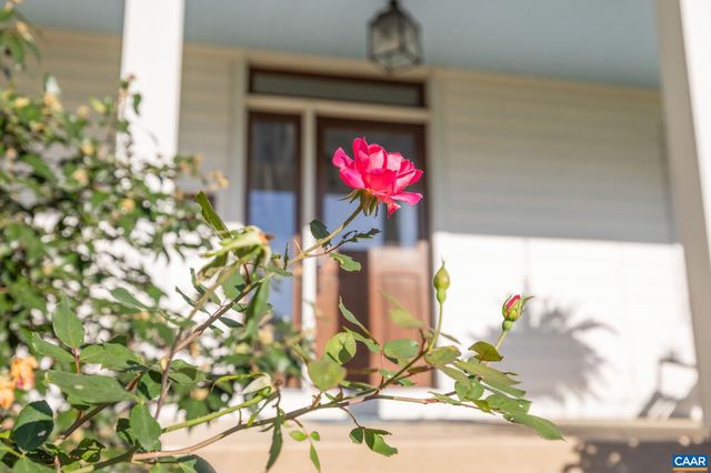 2402 ROCK BRANCH LN, North Garden, VA 22959