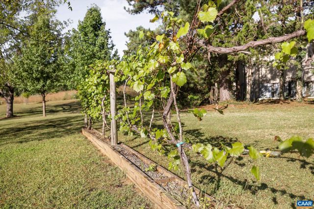 2402 ROCK BRANCH LN, North Garden, VA 22959