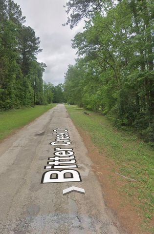 0 Bitter Creek Drive, Shepherd, TX 77371