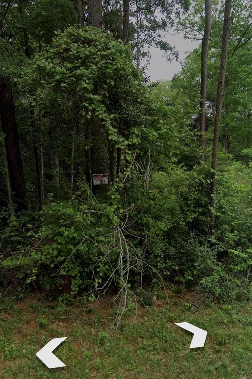 0 Bitter Creek Drive, Shepherd, TX 77371