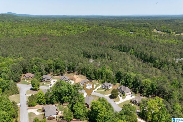 133 DEER CHASE DRIVE, Chelsea, AL 35043