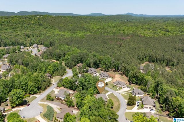 133 DEER CHASE DRIVE, Chelsea, AL 35043