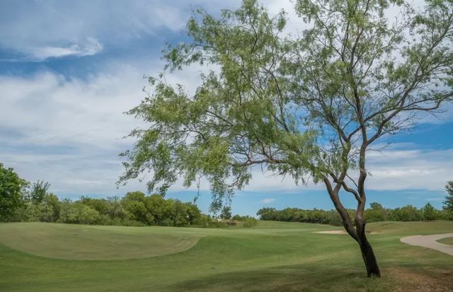 1492 Troon Drive, Frisco, TX 75036