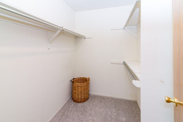 8984 S Christine Drive, Brighton, MI 48114