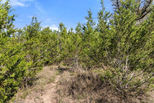 Lot 19 Stone Ridge Mountain DR, Round Mountain, TX 78663